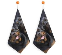 Rottweiler Wallpaper Kitchen Towels Set -2PCS Super Absorbent Hand Towels, Soft Face Towel Set with Hanging Loop Lightweight Quick Dry Microfiber Dish Towels for Yoga Camping Hotel Spa Travel