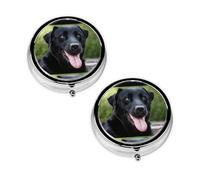 Rottweiler Wallpaper Print Pill Box 3 Compartment Medicine Pill Case,Portable for Pocket Or Purse Pill Organizer Decorative Metal Medicine Vitamin Organizer Unique Gift