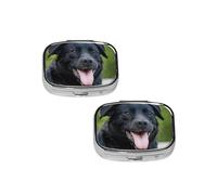 Rottweiler Wallpaper Print pilldispenser 2 Compartment Medicine Case, Portable pilldispenser for Pocket Or Purse Pillbox