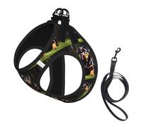 Rottweiler Wallpaper Print Reflective Pet Leash Vest For Small Dogs & Cats, Adjustable Outdoor Walking Hiking Vest