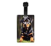 Rottweiler Wallpaper Print Waterproof Luggage Tags Suitcases Identification Labels Business Family Vacations