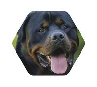 rottweiler wallpaper Printed Coasters Set of 4, Tabletop Protection Leather Coasters for Cup Drinks Coffee Pads Beer Bar Mat Gifts, Hexagon