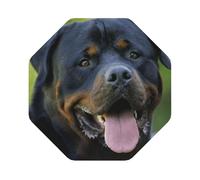 rottweiler wallpaper Printed Coasters Set of 4, Tabletop Protection Leather Coasters for Cup Drinks Coffee Pads Beer Bar Mat Gifts, Octagon