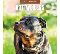 Rottweilers - 2025 Square Wall Calendar - by Red Robin Publishing