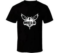 ROUBEIJIA Lamelo Ball Charlotte Hornets T-Shirt Graphic Tee for Men Size M Black