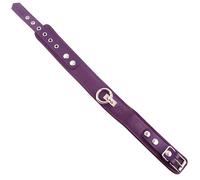 Rouge Garments Plain Purple Leather Collar