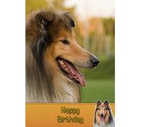 Rough Collie Birthday Card