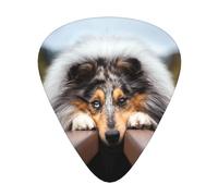 Rough Collie Bokeh Railway Dogs Pets Rough,12 Pcs Guitar Pick,3 Different Thickness Plectrums for Acoustic Guitar Bass Ukulele (0.46mm 0.96mm 0.71mm)
