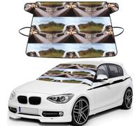 Rough Collie Bokeh Railway Dogs Pets Rough, Car Windshield Cover, Protective Windscreen Cover - Snow Ice Sun UV Dust Water Resistant - Fit for Most Cars
