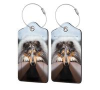 Rough Collie Bokeh Railway Dogs Pets Rough,Luggage Tags Pu Leather Name Tag Travel Suitcase Identifier ID Tags Durable Luggage Label 2 pcs