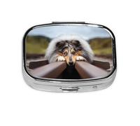 Rough Collie Bokeh Railway Dogs Pets Rough,Meta Pill Box 2 Compartment Medicine Case,Portable Organizer,Rectangle Meta Portable Organizer Pill Box 85 Compartment Medicine Case