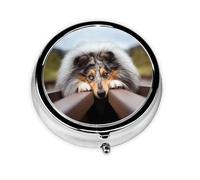 Rough Collie Bokeh Railway Dogs Pets RoughMeta Pill Box 3 Compartment Medicine Case,Portable Organizer
