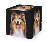 Rough Collie Cute Dog Funny 3-D Puzzles Speed Cube for Adults