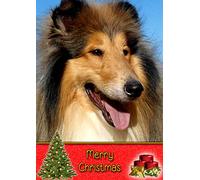 Rough Collie Dog Christmas Card 'Merry Christmas' - Special Animal Xmas Card for Him Her from Pets Kids