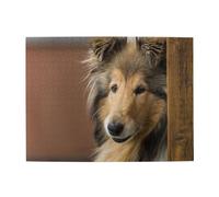 Rough Collie Lassie Dogs Big Fluffy Dogs Pets,500 Pieces Puzzles for Adults-Wooden Jigsaw Puzzle for Adults Elderly