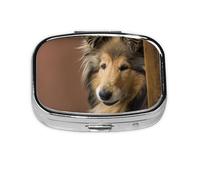 Rough Collie Lassie Dogs Big Fluffy Dogs Pets,Meta Pill Box 2 Compartment Medicine Case,Portable Organizer,Rectangle Meta Portable Organizer Pill Box 77 Compartment Medicine Case