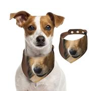 Rough Collie Lassie Dogs Big Fluffy Dogs Pets,Pet Bib Scarf Cats Dog Bandana Dogs Towel Bib Adjustable Pet Scarf,L