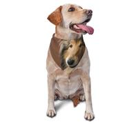 Rough Collie Lassie Dogs Big Fluffy Dogs PetsDog Bandanas Cat Puppy Scarfs Washable Pet Handkerchief