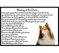 Rough Collie pet Dog Memorial Bereavement Flexible Fridge Magnet - Waiting at The Door