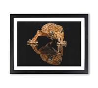Rough Knob Gecko Lizard Painting Modern Art Framed Print | A2 Black Framed Wall Art | Ready to Hang | Modern Historical Picture | Living Room Bedroom Lounge Office