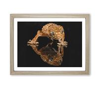 Rough Knob Gecko Lizard Painting Modern Art Framed Print | A2 Oak Framed Wall Art | Ready to Hang | Modern Historical Picture | Living Room Bedroom Lounge Office