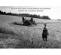 "Rough shooting" A5 greeting card. Man with gun and dog in barley field with binding machine circa 1940. Humorous card with funny caption. Blank on the inside perfect for any occasion. Large A5 size with envelope. Caption "Rover becomes concerned his owner is a cereal killer"