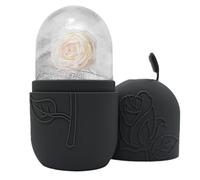 Rouleau De Glace Pour Le Visage - Face Ice Roller Silicone | Appareil De Massage Facial Froid Apaisant, Relaxation Musculaire, Tonification Peau Pour Maison, Voyage, Daily Beauté