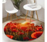 Round Area Rug 120 cm Short Pile Rug, Natural Sunset Poppy Field Non Slip Non-Shedding Circle Carpet, Home Living Room Bedroom Kids Room Office Kitchen Mat Red