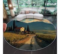 Round Area Rug 180 cm, Soft Fluffy Multicolored Circle Carpet, Short Pile Non Slip Washable Modern Countryside Art Fields Cabins Round Rugs for Living Room Bedroom Coffee Table Entrance