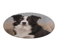 Round Area Rug 60 * 60cm Non-Slip Soft Floor Mat Washable Absorbent Carpet Border Collie Throw Rugs for Kitchen Bedroom Bathroom Home Decor