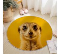 Round Area Rugs 100 cm Shaggy Soft Circle Area Rugs Cute Animal Portrait Meerkat Theme for Bedroom Home Office Dining Room College Dorm, Washable Non Slip Round Carpets Yellow