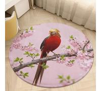 Round Area Rugs 3' Non Slip Coral Velvet Entry Mat Absorbent Soft Low-Pile Red-Bellied Pheasant Throw Rug Boho Washable Floor Carpet for Bedroom Living Room Bathroom Dorm Home Decor