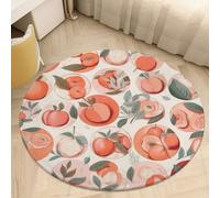 Round Area Rugs 3' Non Slip Coral Velvet Entry Mat Absorbent Soft Low-Pile Round Peach Throw Rug Boho Washable Floor Carpet for Bedroom Living Room Bathroom Dorm Home Decor