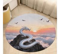 Round Area Rugs 3' Non Slip Coral Velvet Entry Mat Absorbent Soft Low-Pile Silver Dragon Circling Throw Rug Boho Washable Floor Carpet for Bedroom Living Room Bathroom Home Decor