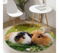 Round Area Rugs for Living Room 100 cm Nature Animals Guinea Pig Grass Theme Soft Circle Carpet Rug Non Slip Machine Washable Bedside Floor Rug for Bedroom Kitchen Home Decor, Brown Green