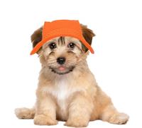 Round Brim Dog Visor Hat Round Brim Dog Visor Hat, Outdoor Breathable Sun | Pet Sombrero Dog Straw Hat Cat Woven Hat