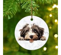 Round Ceramic Christmas Ornaments 2024 Tibetan Terrier Ornaments for Christmas Tree Hanging Decorations Holiday Keepsake Xmas Souvenir Memorial Birthday New Year Dog Dad Gifts