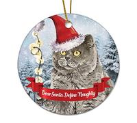 Round Ceramic Christmas Ornaments Cute Cat Dear Santa Define Naughty Christmas Tree Ornaments for New Year Xmas Birthday Gifts Elegant Holiday Keepsake Home Decor
