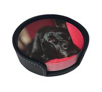 Round Coasters, Black Labrador Retriever Pets Bokeh Black Dogs,Mugs Pad Cups Mat Set of 6 Leather Drinks Coasters with Holder