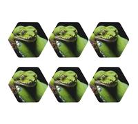 Round Coasters for Drinks Set of 6, PU Leather Coaster for Hot or Cold Drinks, 4" Drink Coasters for Coffee Table, Cute Green Tree Python Cup Mat for Tabletop Protection Drinking Cup Pad