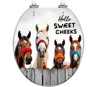 Round Colorful Four Horses Resin Toilet Seat Slow Close Quick Release Hinge