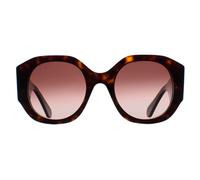 Chloé Woman CH0234S 002 Sunglasses Acetate Havana Brown Round