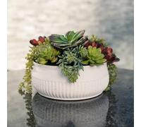 Round Faux Succulent Arrangement, 12" Premium Artificial Indoor Plant Enhances Interior Design, Display on Any Surface in Your Home Adding an Inviting Touch of Nature, White Planter Pot Included