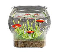 Round Fish Tank | Clear Aquarium Fish Tank - Floral Container Centerpiece for Workplace Home Living Room Bathroom Desk Dorm