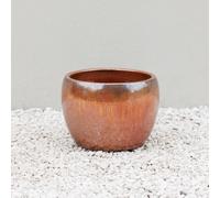 Round Garden Planter in Glazed Metallic Bronze Finish 22cm Primrose Metallics One Size