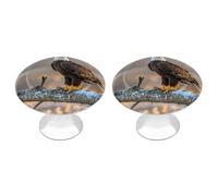Round Golden Sunset Bald Eagle Cabinet Knobs and Pull 30mm Stainless Steel Drawer Hardware with Installation Screws Door Handle 2 Pack for Kitchen Furniture Dresser Cupboard
