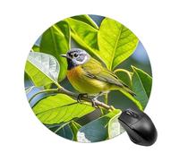 Round Green Leaves and Birds Mouse Pad Non-Slip Rubber Base Waterproof Mouse Mat Travel Portable Gaming Mousepad for Office Work Home Computer Laptop Personalized Accessory