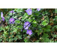 Round Grow Through Grid Support: Medium/Three