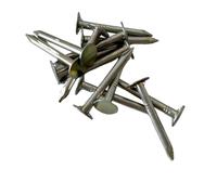 Round Head Iron Nails, Iron Roofing Felt Nails Pack 25-75mm(31mm)