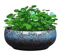 Round Large Shallow Glazed Planter Pots Outdoor Succulent Planter Bowl Bonsai Pots Garden Decorative Ceramic Flower Pot Non-porous Suitable for Hydroponic Plant Container (Color : Blue) Interesting